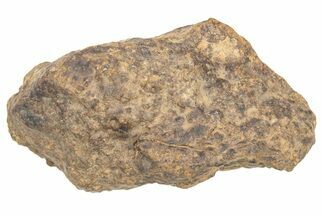 Chondrite Meteorite ( grams) - Western Sahara Desert #233194