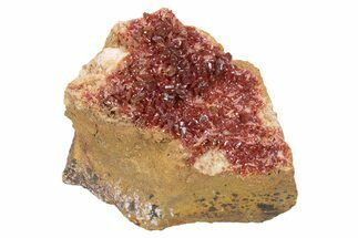 Glittering, Ruby Red Vanadinite Crystals on Dolomite - Morocco #233955