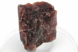 Rare, Red Villiaumite Crystal - Murmansk Oblast, Russia #220044