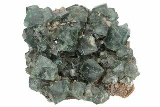 Fluorescent Green Fluorite Cluster - Lady Annabella Mine, England #235386