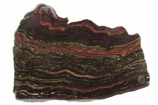 Polished Tiger Iron Stromatolite Slab - Billion Years #234822