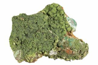 Green Conichalcite Specimen - Ojuela Mine, Mexico #236820