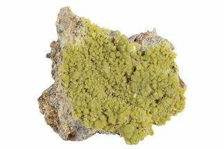 Yellow-Green Botryoidal Pyromorphite - Ojuela Mine, Mexico #236822
