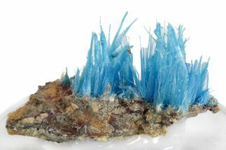 Vibrant Blue Chalcanthite - Planet Mine, Arizona #236829