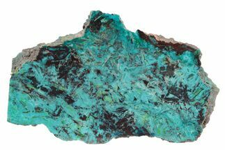 Colorful Chrysocolla and Shattuckite Slab - Mexico #236824