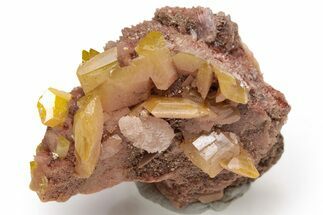 Lustrous, Yellow-Orange Wulfenite Cluster - La Morita Mine, Mexico #237083