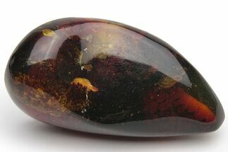 Polished Chiapas Amber ( grams) - Mexico #237416