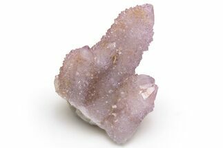 Cactus Quartz (Amethyst) Crystal Cluster - South Africa #237388