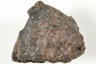Chondrite Meteorite ( grams) - Western Sahara Desert #233212