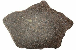 Polished Chondrite Meteorite Slice ( g) - Morocco #238048