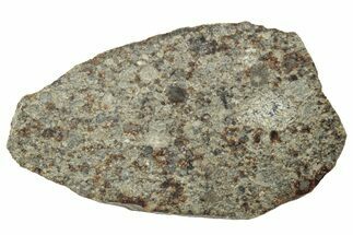 Polished Chondrite Meteorite Slice ( g) - Morocco #238056