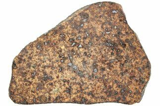 Polished Chondrite Meteorite Slice ( g) - Morocco #238065