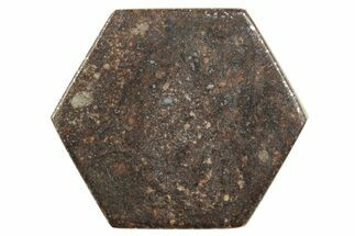 Stony Chondrite Cabochon ( grams) - Meteorite #238181