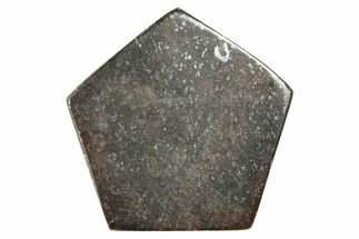 Stony Chondrite Cabochon ( g) - Meteorite #238196