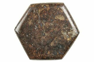 Stony Chondrite Cabochon ( g) - Meteorite #238202