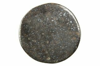 Stony Chondrite Cabochon ( g) - Meteorite #238211