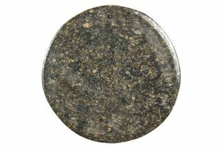 Stony Chondrite Cabochon ( g) - Meteorite #238226