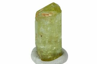 Gemmy, Yellow Apatite Crystal - Morocco #239160