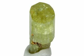 Gemmy, Yellow Apatite Crystal - Morocco #239161