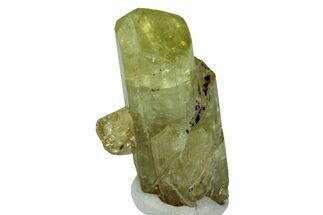 Gemmy, Yellow Apatite Crystal - Morocco #239171
