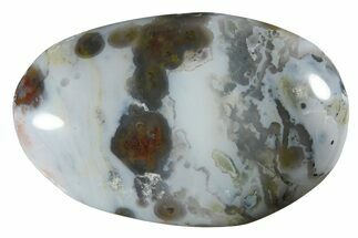 Polished Ocean Jasper Stone #239200