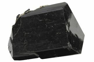 Lustrous Black Tourmaline (Schorl) Crystal - Namibia #239700