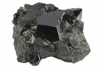 Lustrous Black Tourmaline (Schorl) Crystals - Namibia #239648