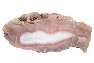 Polished Pilbara Agate Section - Worlds Oldest Agates #239748