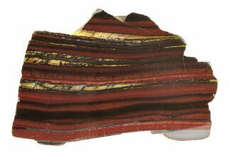 Polished Tiger Iron Stromatolite Slab - Billion Years #239601