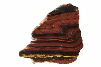 Polished Tiger Iron Stromatolite Slab - Billion Years #239611