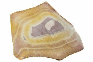 Polished Binthalya Opal Slab - Western Australia #239702