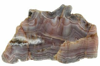 Polished Pilbara Agate - Oldest Known Agate #239864