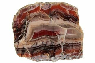 Polished Pilbara Agate Section - Oldest Known Agates #239866