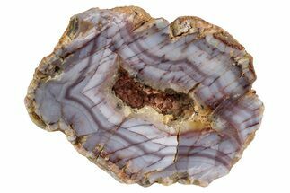 Polished Pilbara Agate Section - Oldest Known Agates #239867