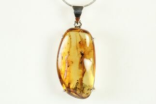 Polished Baltic Amber Pendant (Necklace) - Sterling Silver #240303