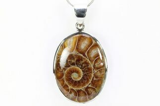 Fossil Ammonite Pendant - Million Years Old #240274