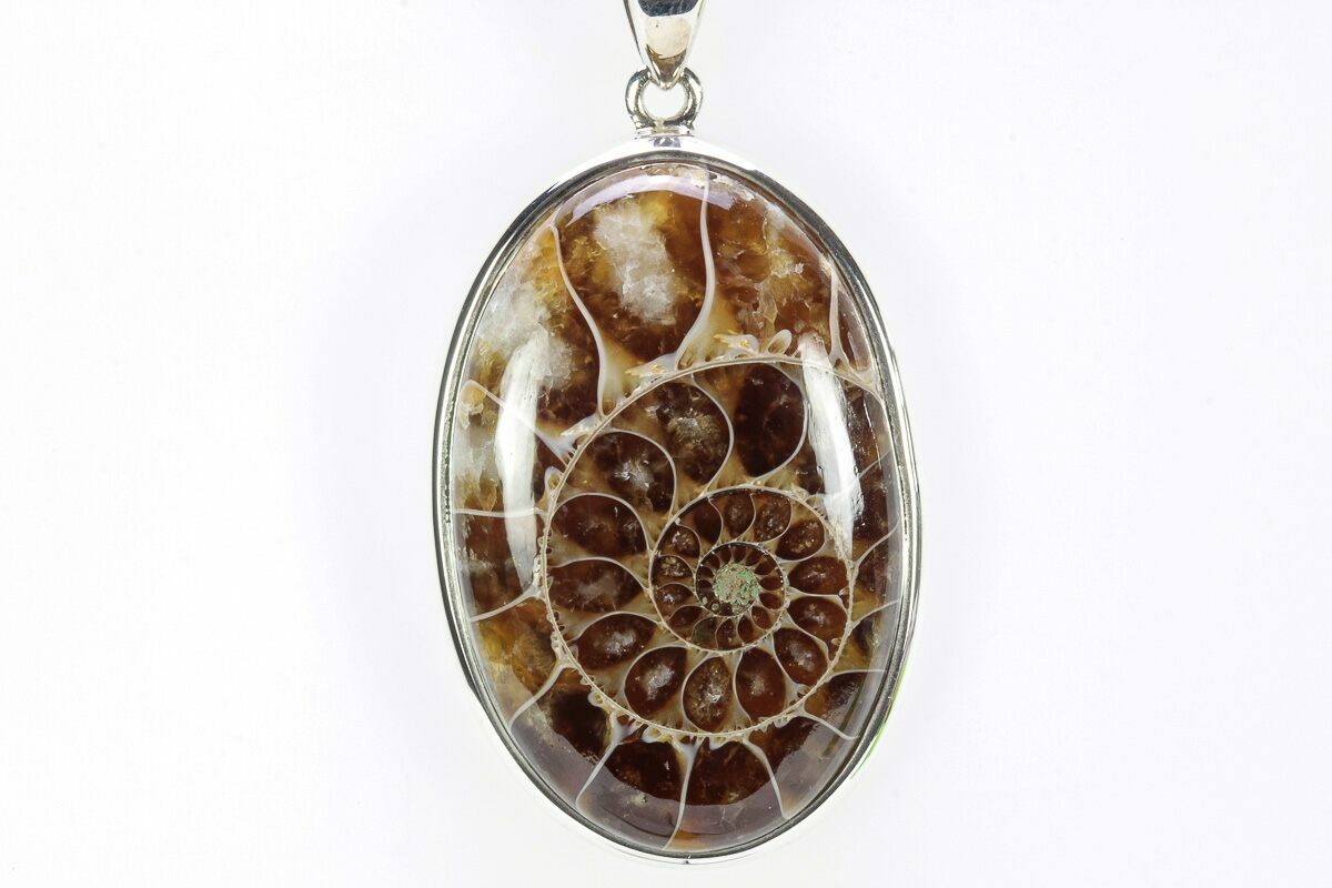 1.45" Fossil Ammonite Pendant - 110 Million Years Old (#240284) For ...