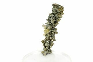 Iridescent Marcasite Crystal Stalactite - Linwood Mine, Iowa #240525