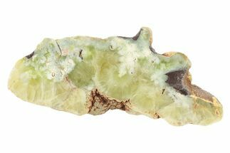 Polished Green Prehnite Section - Australia #239783