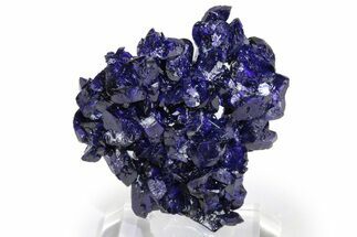 Vibrant Blue Azurite Crystals - Milpillas Mine, Mexico #240667