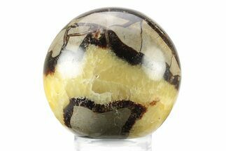 Polished Septarian Sphere - Madagascar #239001