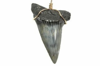 Fossil Broad-Toothed Mako Tooth Necklace - South Carolina #240684