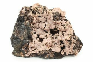Sparkling Botryoidal Rhodochrosite - Santa Eulalia, Mexico #240828