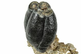 Recently Added For Sale