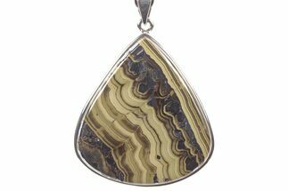 Polished Schalenblende Pendant (Necklace) - Sterling Silver #241254