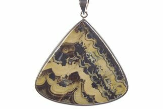 Polished Schalenblende Pendant (Necklace) - Sterling Silver #241263