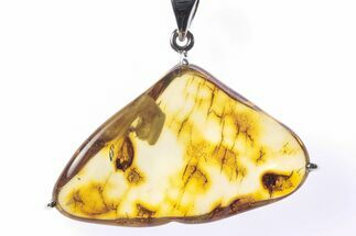 Polished Baltic Amber Pendant (Necklace) - Sterling Silver #241218