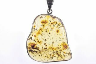Polished Baltic Amber Pendant (Necklace) - Sterling Silver #241223