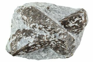 Buy Staurolite