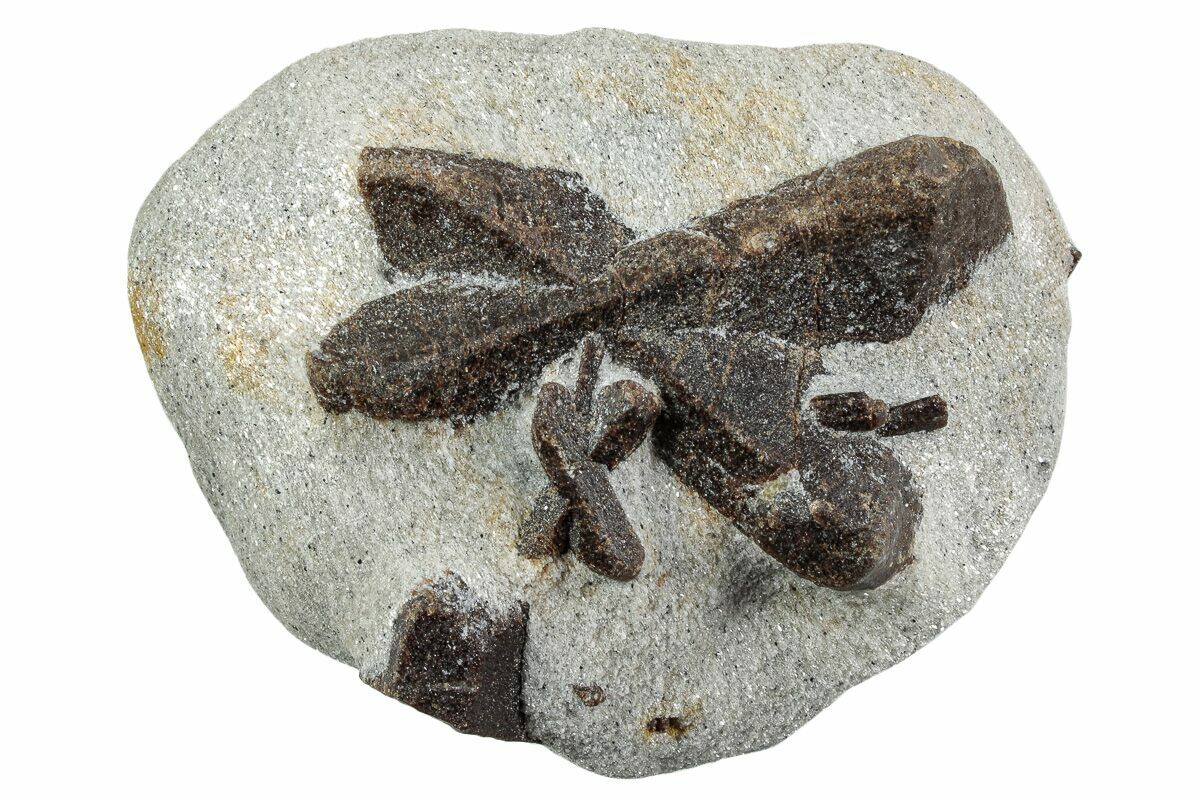 Cross Rocks Staraulite 2.6